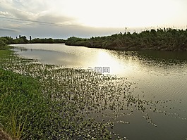 河,岸,岸邊