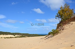 沙丘,海灘,海