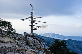 天空,自然,山