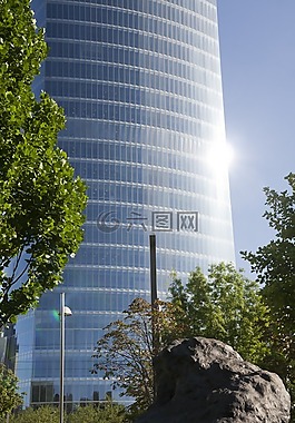 建設(shè),光,植物