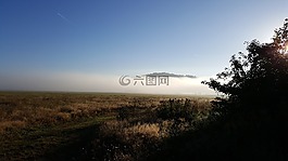 山鹿,早上,雾