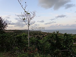 特兰科苏,海滩,mar