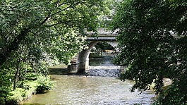 橋,河,水