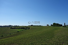 托斯卡納,農(nóng)村,葡萄園