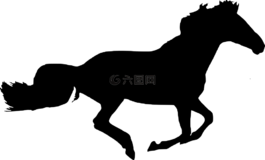 側(cè)影,馬,孤立