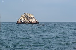 海,海洋,水