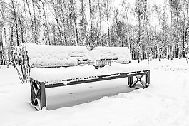 雪,冬季,冷淡地