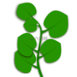 葉,葉子,性質(zhì)