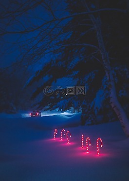 燈,雪,冬天