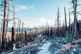 徒步旅行,山,旅行