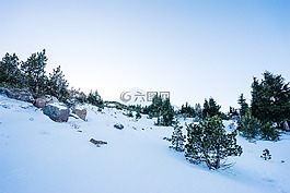 山,冬天,雪
