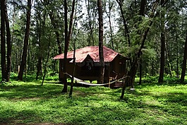 山寨,假期而回家,小屋