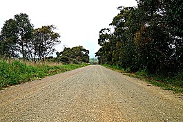夷為平地,農村公路,沒有交通