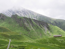 綠色,草,高原