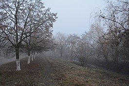 ștefan vodă,gealair 河,深秋