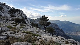山,返回頁首,游覽