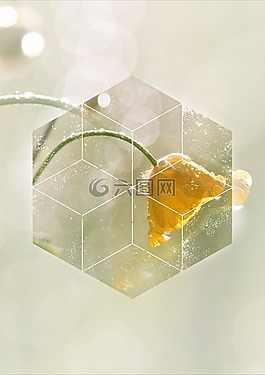 剮,幾何,黃色