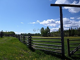 籬笆,牧場,農(nóng)場