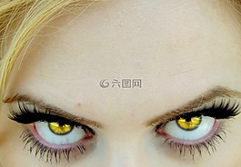 眼,綠色,吸血鬼