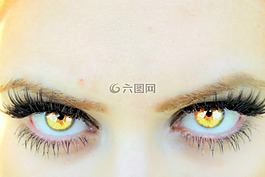 眼,黃色,吸血鬼