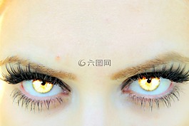 眼,黃色,吸血鬼