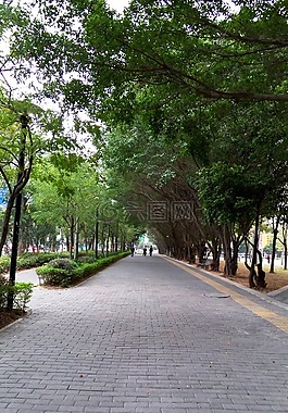 城市一角,深圳,道路