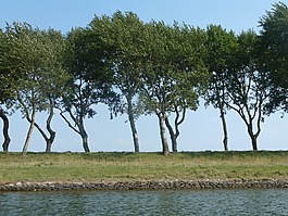 海濱,水,新西蘭