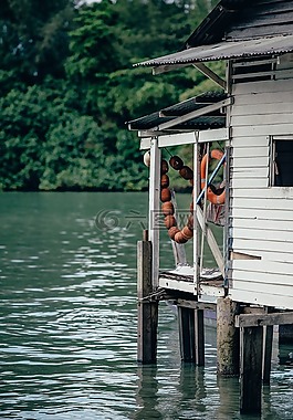 湖,水,綠色