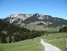 山,山景觀,徒步旅行