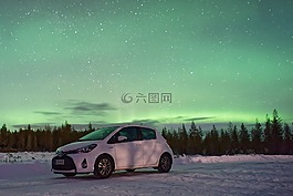 極光,天空,樹