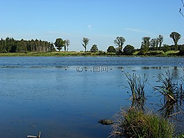 羅德瑪珥,brohltal,景觀