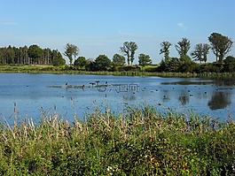 羅德瑪珥,brohltal,景觀