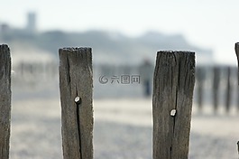 文章,湖,海