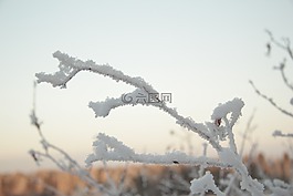 冬季,性質(zhì),雪
