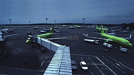 机场,多莫杰多沃,航空公司