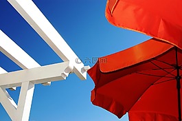 花園,陽(yáng)傘,夏季