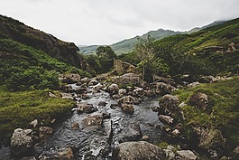 綠色,草,巖