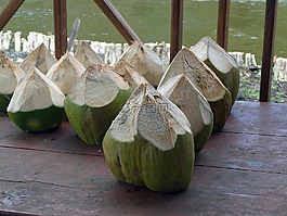 椰子,水,旅行