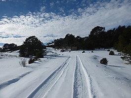 景觀,雪,腳印