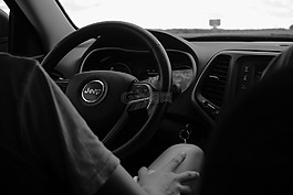 吉普車,黑色和白色,方向盤