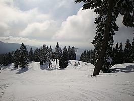 雪,滑雪山,滑雪運行
