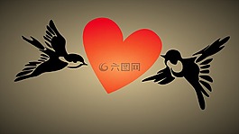 愛情,心臟,鳥類