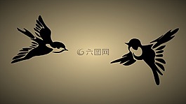 鳥類,飛,自由