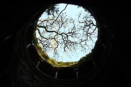 escuridao,性质,之旅