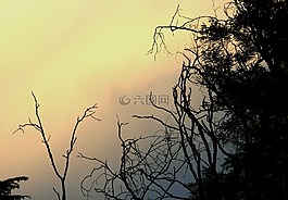 天空,日落,粉红色