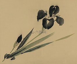 水彩,藝術(shù),畫