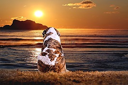 日落,海,性質