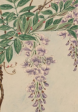 水彩,藝術(shù),畫