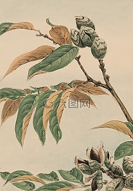 水彩,藝術(shù),畫