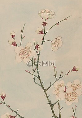 水彩,藝術(shù),畫